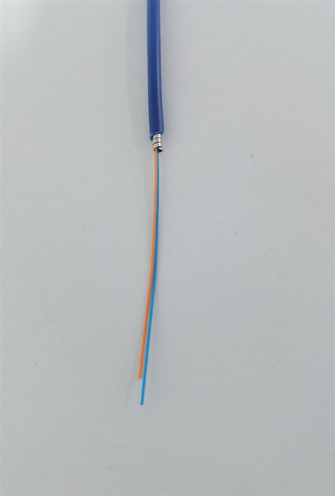 Stripped armored fiber cable revealing the metal armour layer and colour-coded fibers